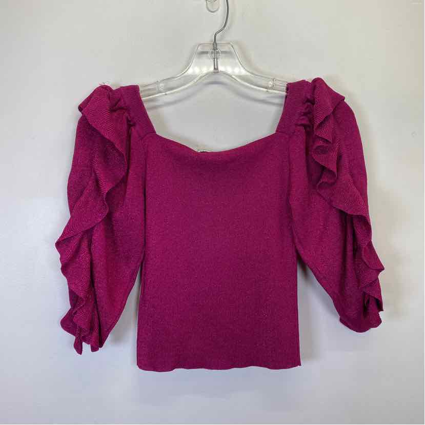 Pre-Owned Size S ZARA Magenta Top