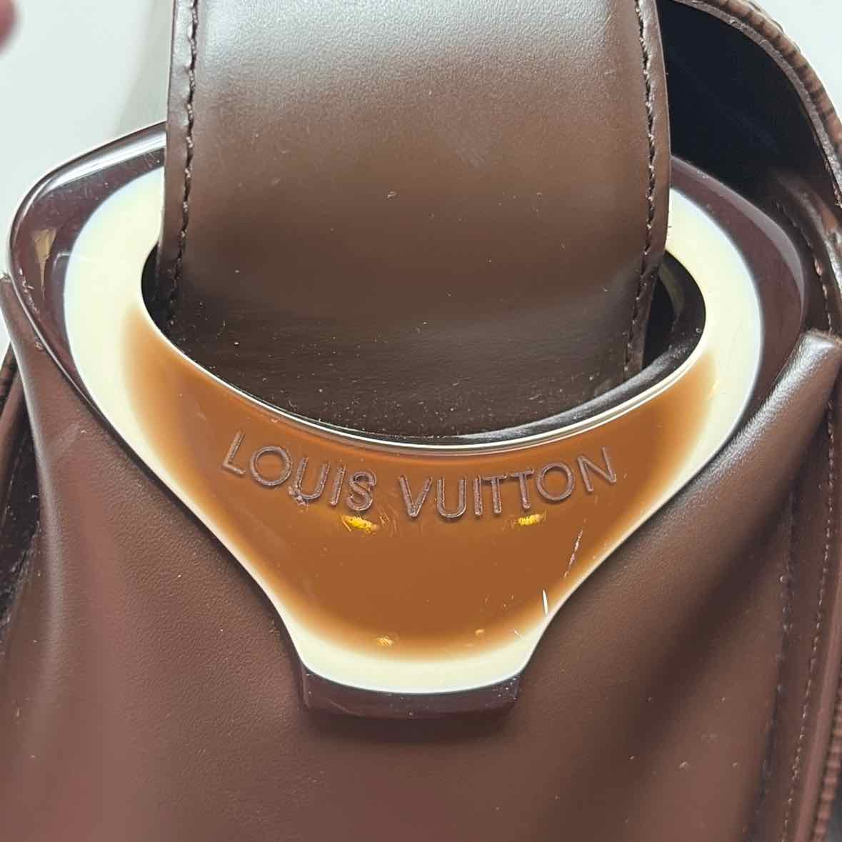 Pre-Owned Louis Vuitton Brown Leather Designer Handbag