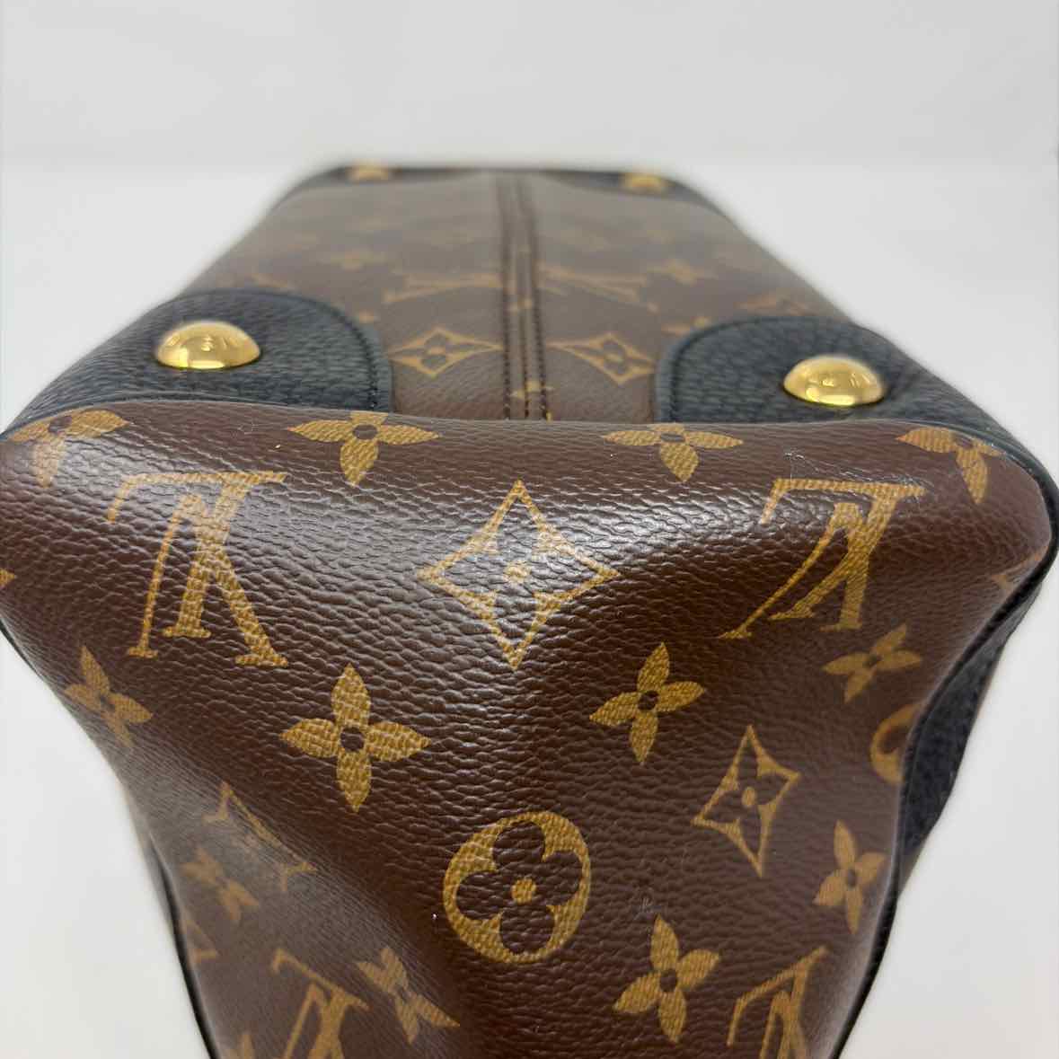 Pre-Owned Louis Vuitton Brown Leather Designer Handbag