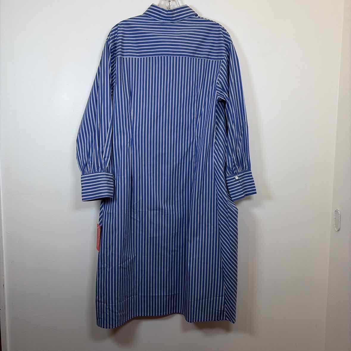 Pre-Owned Size 10/L Paisie blue stripe Casual Dress