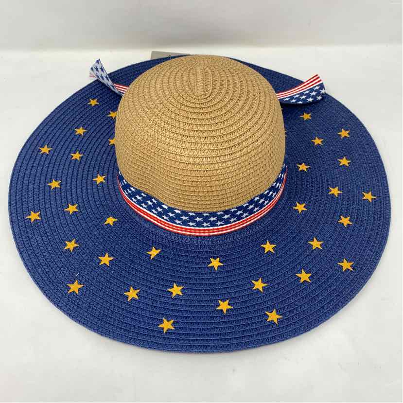 Pre-Owned Boutique Blue Straw Hat