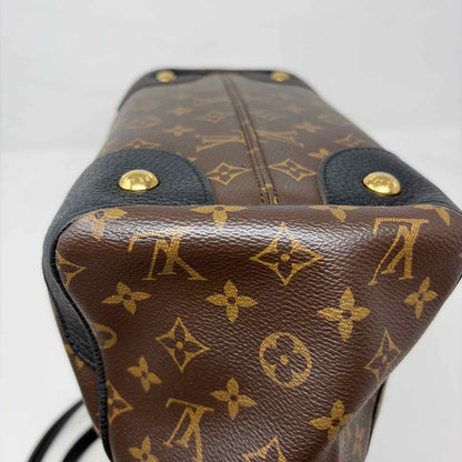 Pre-Owned Louis Vuitton Brown Leather Designer Handbag