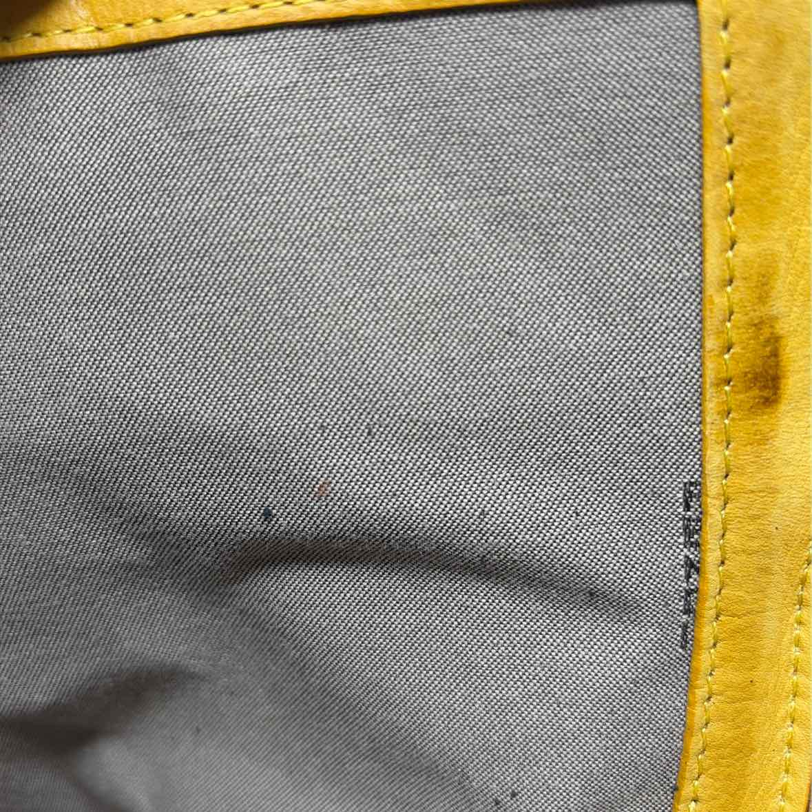 Pre-Owned Fendi Yellow Canvas Designer Handbag