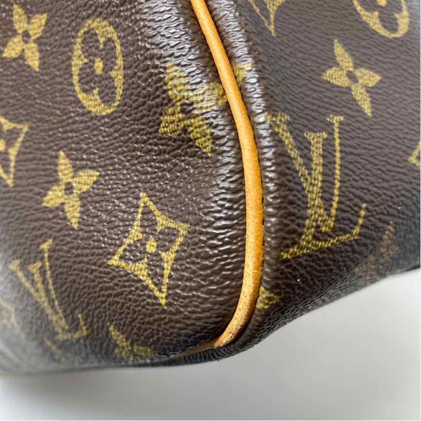 Pre-Owned Louis Vuitton Monogram Canvas Designer Handbag