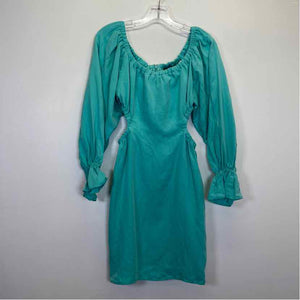 Pre-Owned Size 4/S & other Stories Aqua Casual Dress