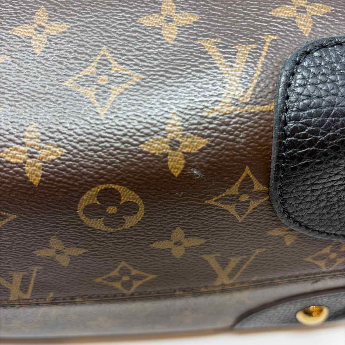 Pre-Owned Louis Vuitton Brown Leather Designer Handbag