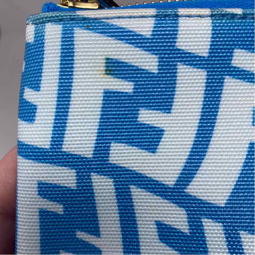 Pre-Owned Fendi Blue Canvas Designer Handbag