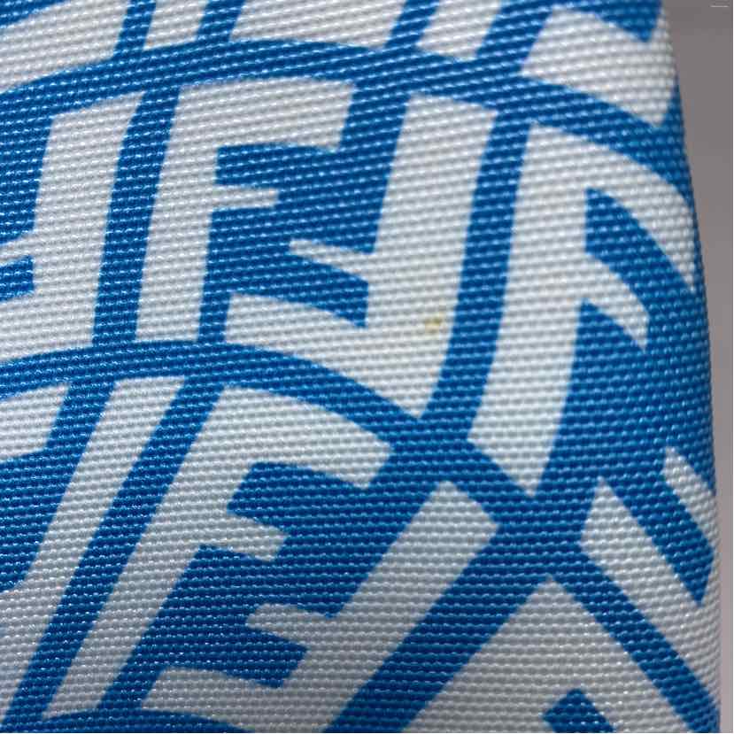 Pre-Owned Fendi Blue Canvas Designer Handbag