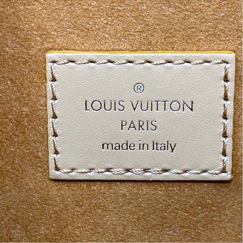 Pre-Owned Louis Vuitton Tan Leather Designer Handbag