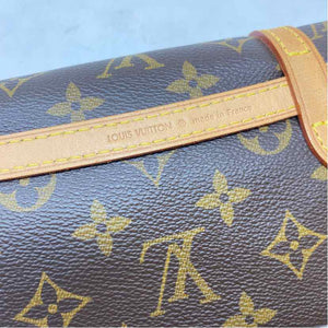 Pre-Owned Louis Vuitton Mocha Canvas Designer Handbag