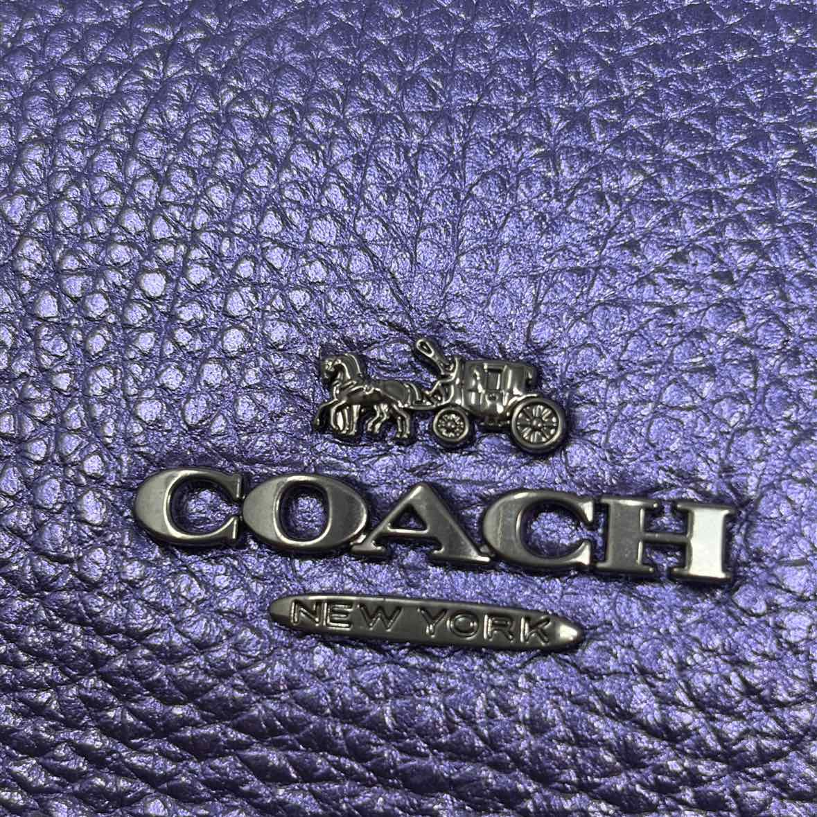 Pre-Owned Coach Multi Leather Handbag