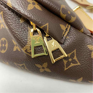 Pre-Owned Louis Vuitton Monogram Canvas Designer Handbag