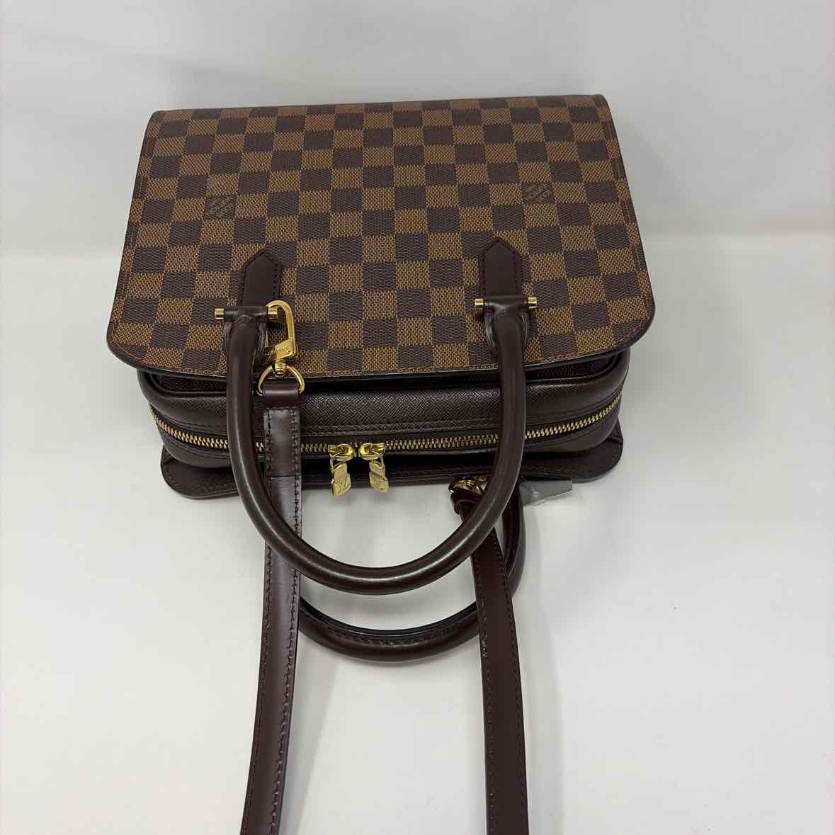 Pre-Owned Louis Vuitton Brown Leather Designer Handbag
