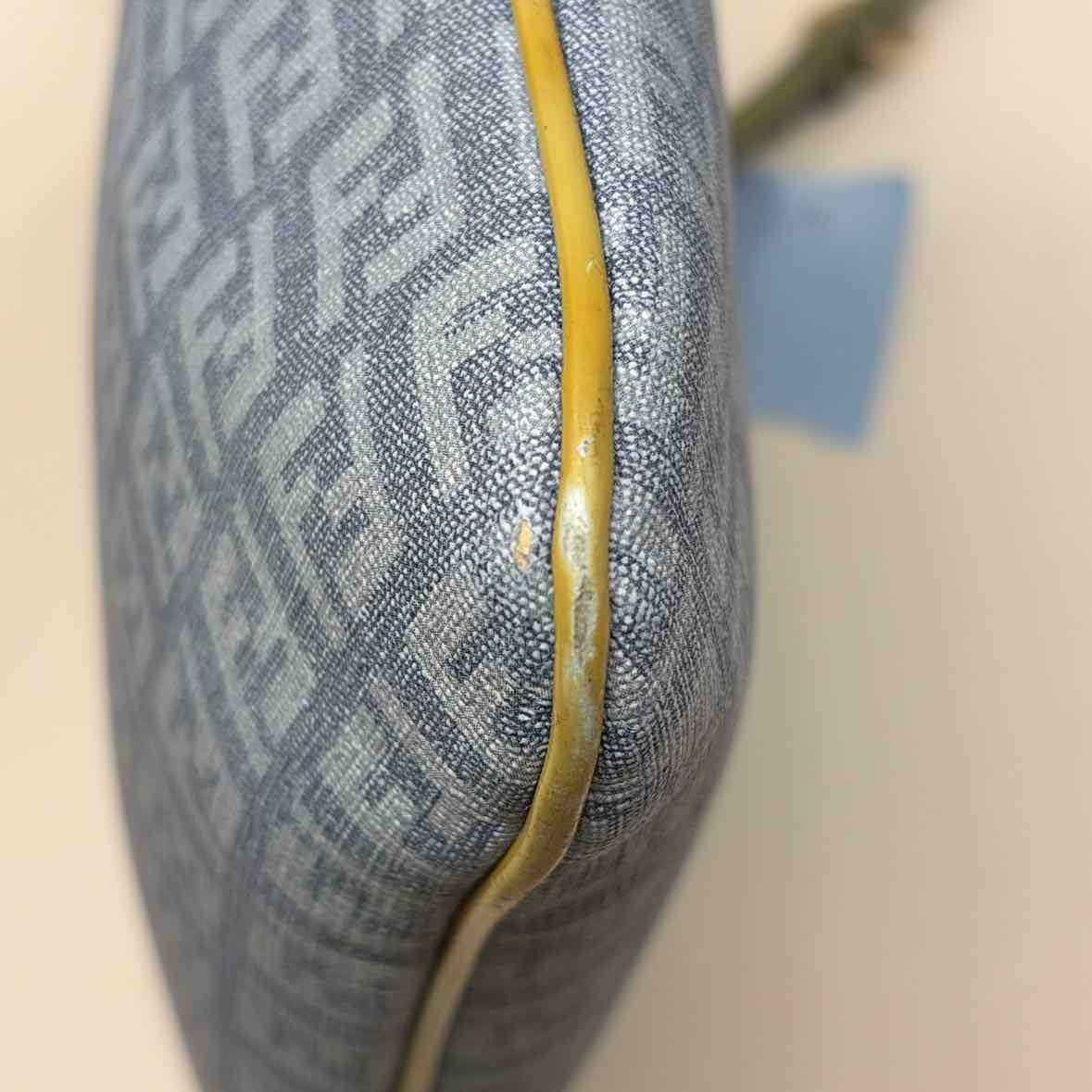 Pre-Owned Fendi Blue Canvas Designer Handbag
