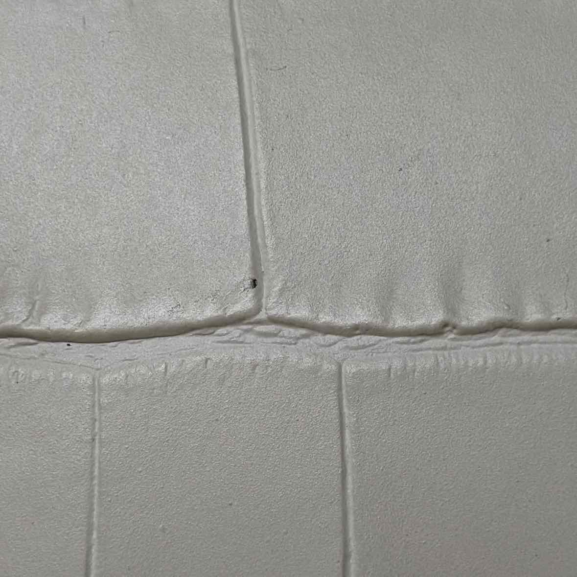 Pre-Owned Alexander McQueen Cream Leather Designer Handbag
