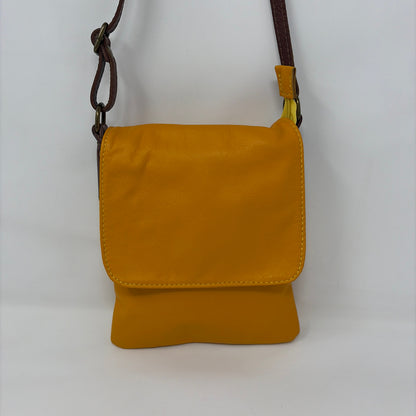 Pre-Owned Aurora Orange Leather Handbag