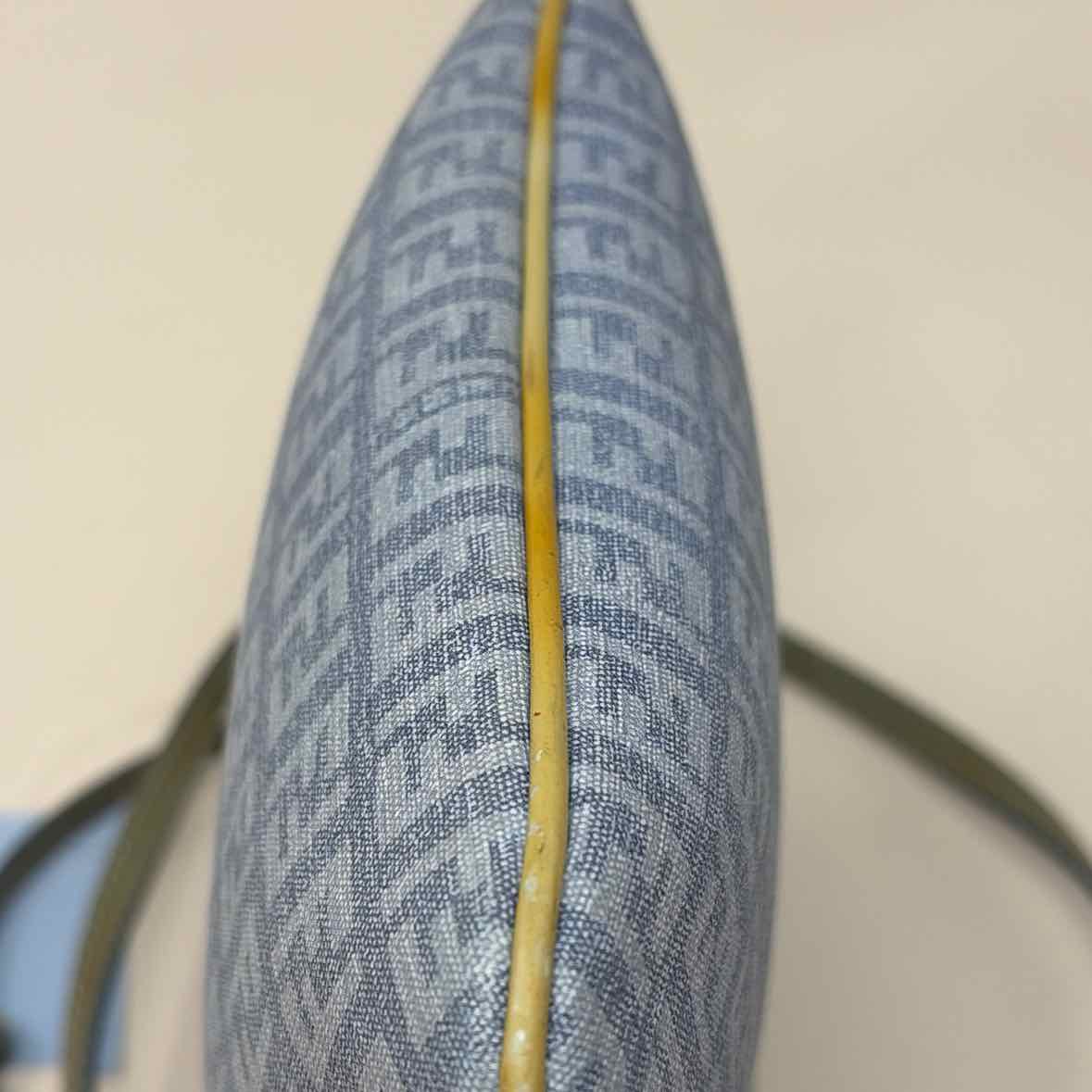 Pre-Owned Fendi Blue Canvas Designer Handbag