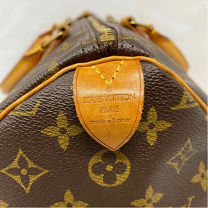 Pre-Owned Louis Vuitton Monogram Canvas Designer Handbag