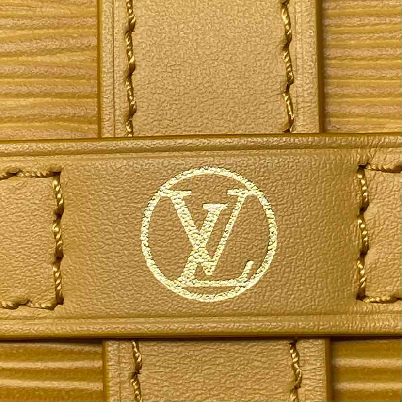 Pre-Owned Louis Vuitton Tan Leather Designer Handbag