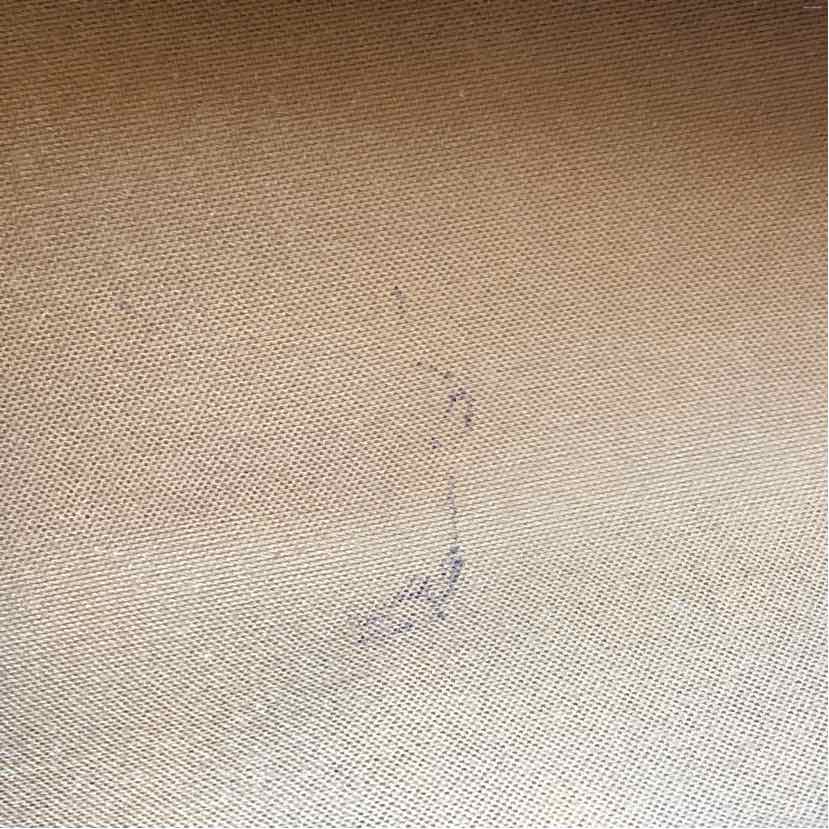 Pre-Owned Louis Vuitton Monogram Canvas Designer Handbag