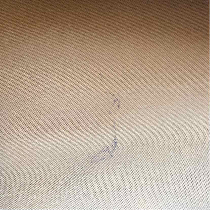 Pre-Owned Louis Vuitton Monogram Canvas Designer Handbag