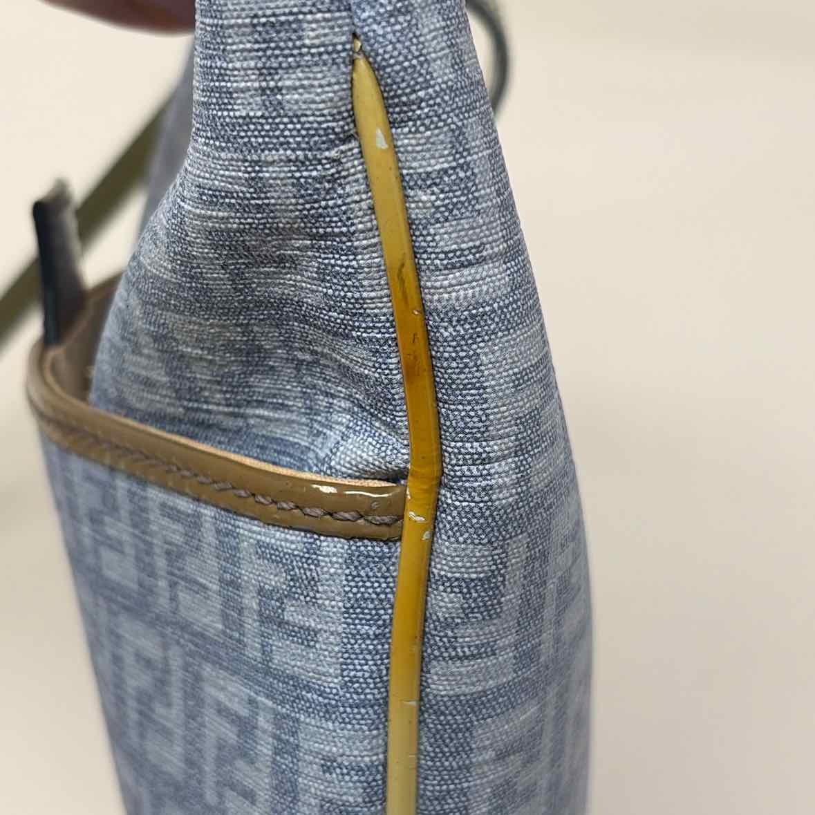 Pre-Owned Fendi Blue Canvas Designer Handbag
