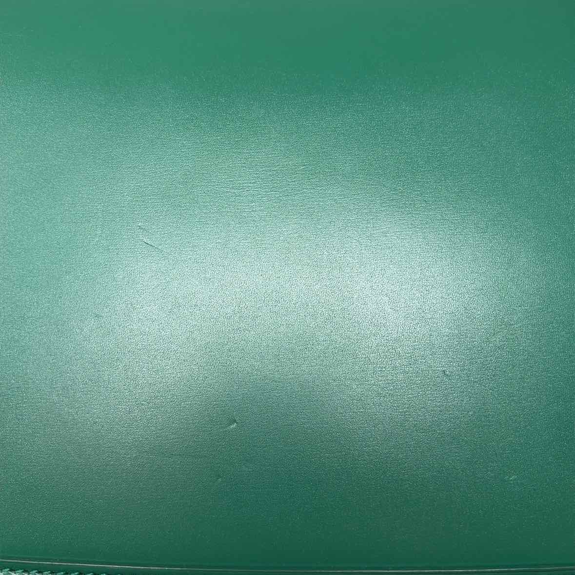 Pre-Owned Saint Laurent Green Leather Designer Handbag