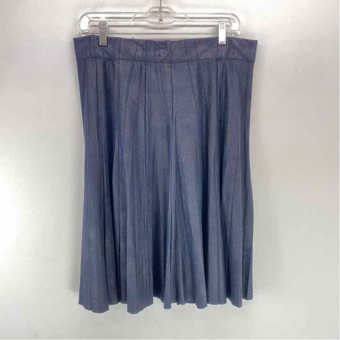 Pre-Owned Size L Orly Paris Blue Skirt