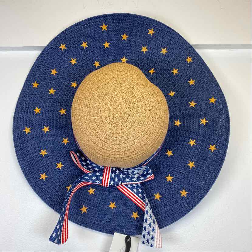 Pre-Owned Boutique Blue Straw Hat