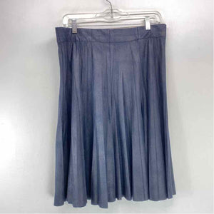 Pre-Owned Size L Orly Paris Blue Skirt