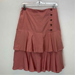 Pre-Owned Size S ZARA Pink Skirt